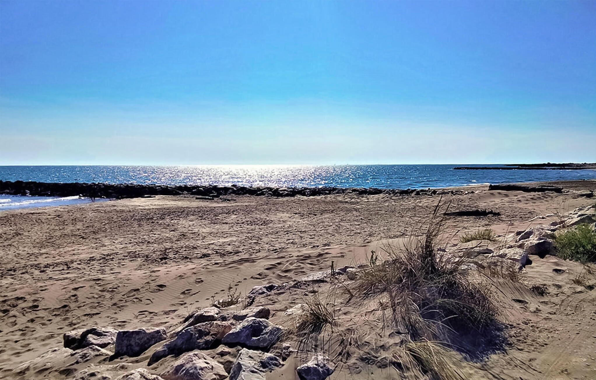 Une plage de sable avec des affleurements rocheux et une végétation clairsemée.