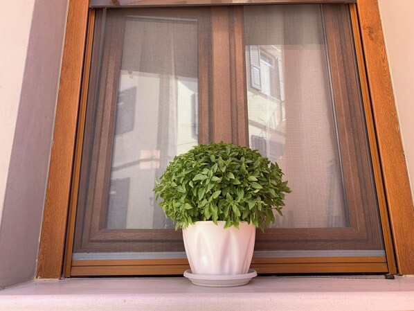 A potted plant on a windowsill with a wooden frame and a mesh screen.