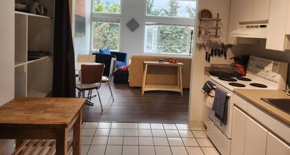 2BR,Sleeps 4-6, Big spacious feeling, free parking, rivers. 4min to confluence.