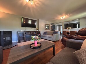 Smart TV, fireplace, books