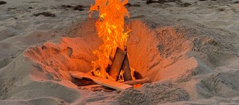 Heron’s Haven-  a dog friendly beach oasis