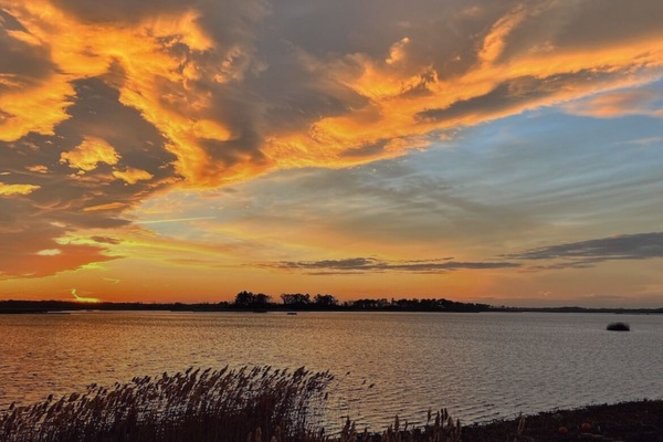 Gorgeous views of Prime Hook Wildlife Refuge off the back deck