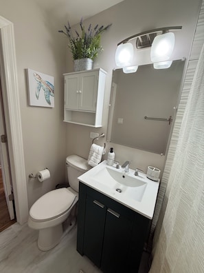 Hair dryer, towels, soap, toilet paper