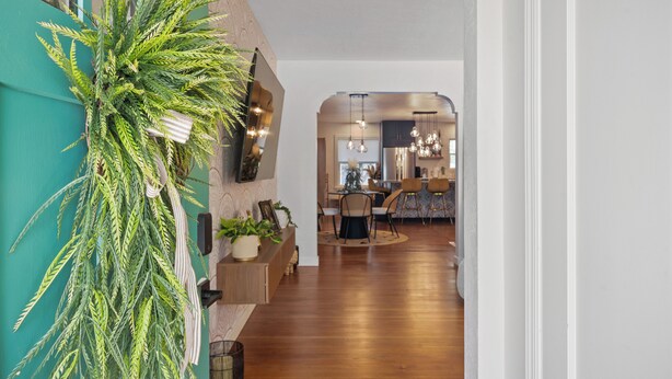 A modern interior with a wooden floor, a teal accent wall, and a hanging plant.