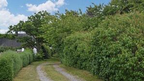 En grussti der snor sig gennem en frodig have med tæt vegetation på begge sider.