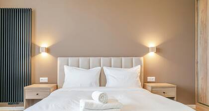 Business Deluxe Studio 48