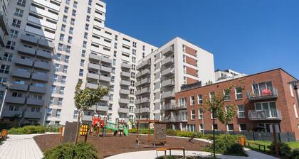 Business Deluxe Studio 38