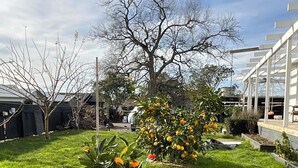 En välskött trädgård med ett stort utbud av växter och en pergola.