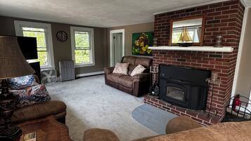 Televisión, chimenea, videojuegos y reproductor de DVD