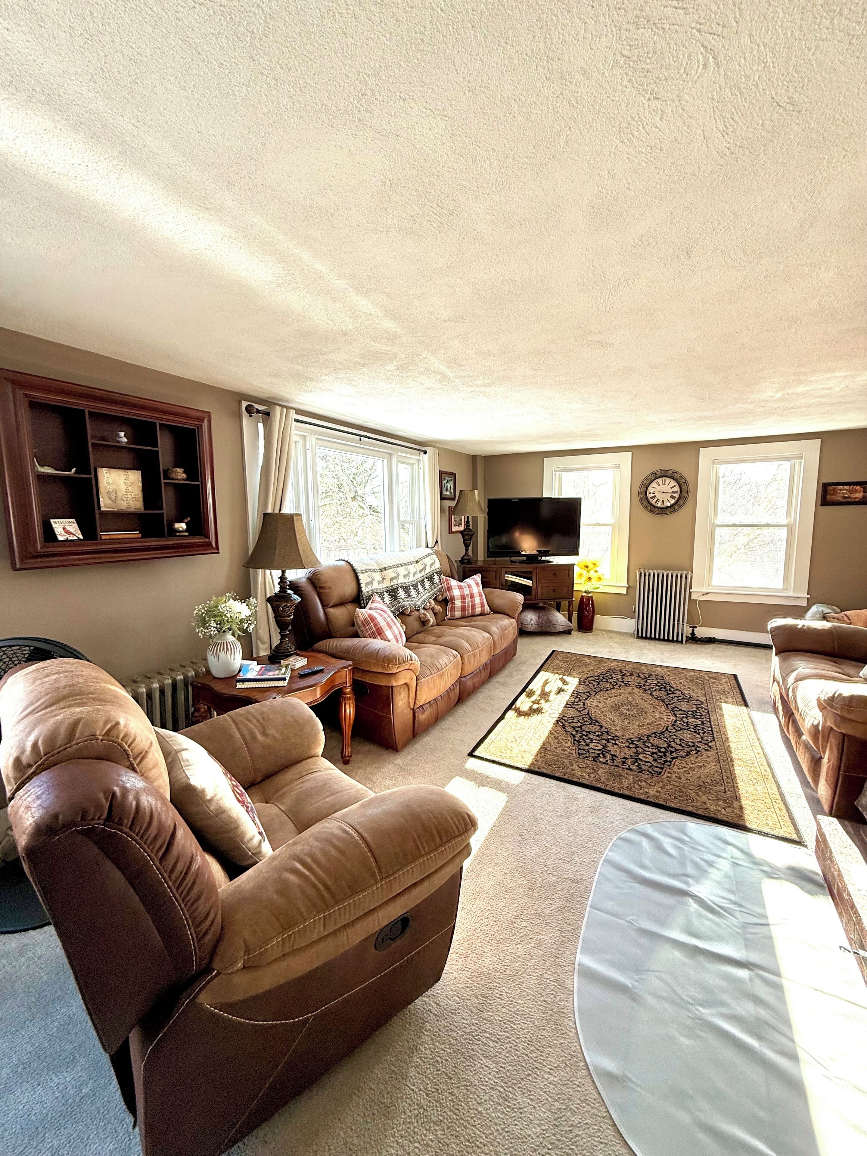 TV, fireplace, video games, DVD player