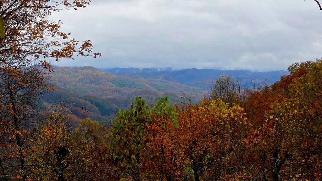 A mountainous landscape with autumn foliage.