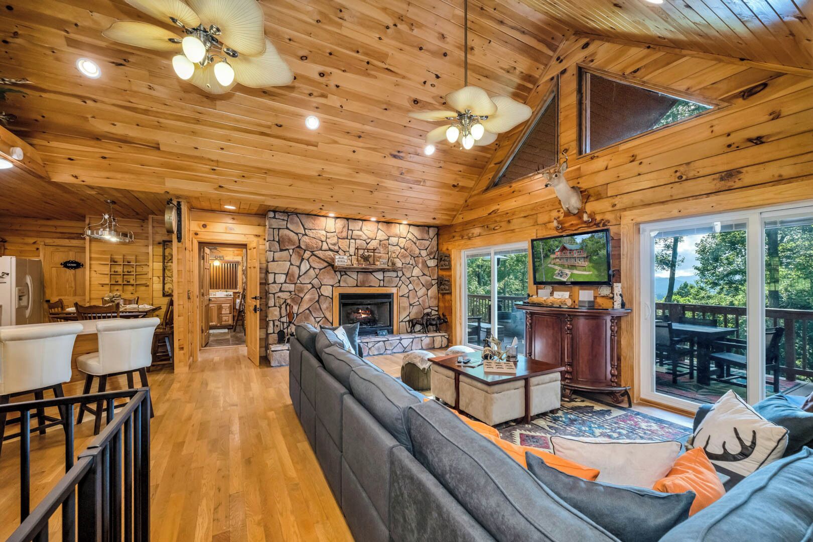 تلفزيون، مدفأة