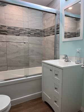 Hair dryer, towels, soap, toilet paper