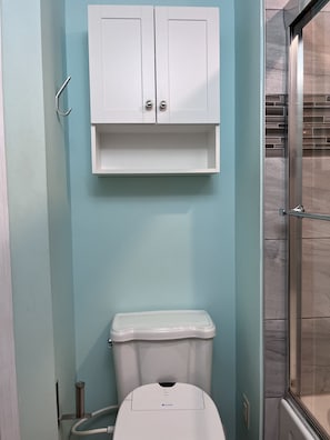 Hair dryer, towels, soap, toilet paper