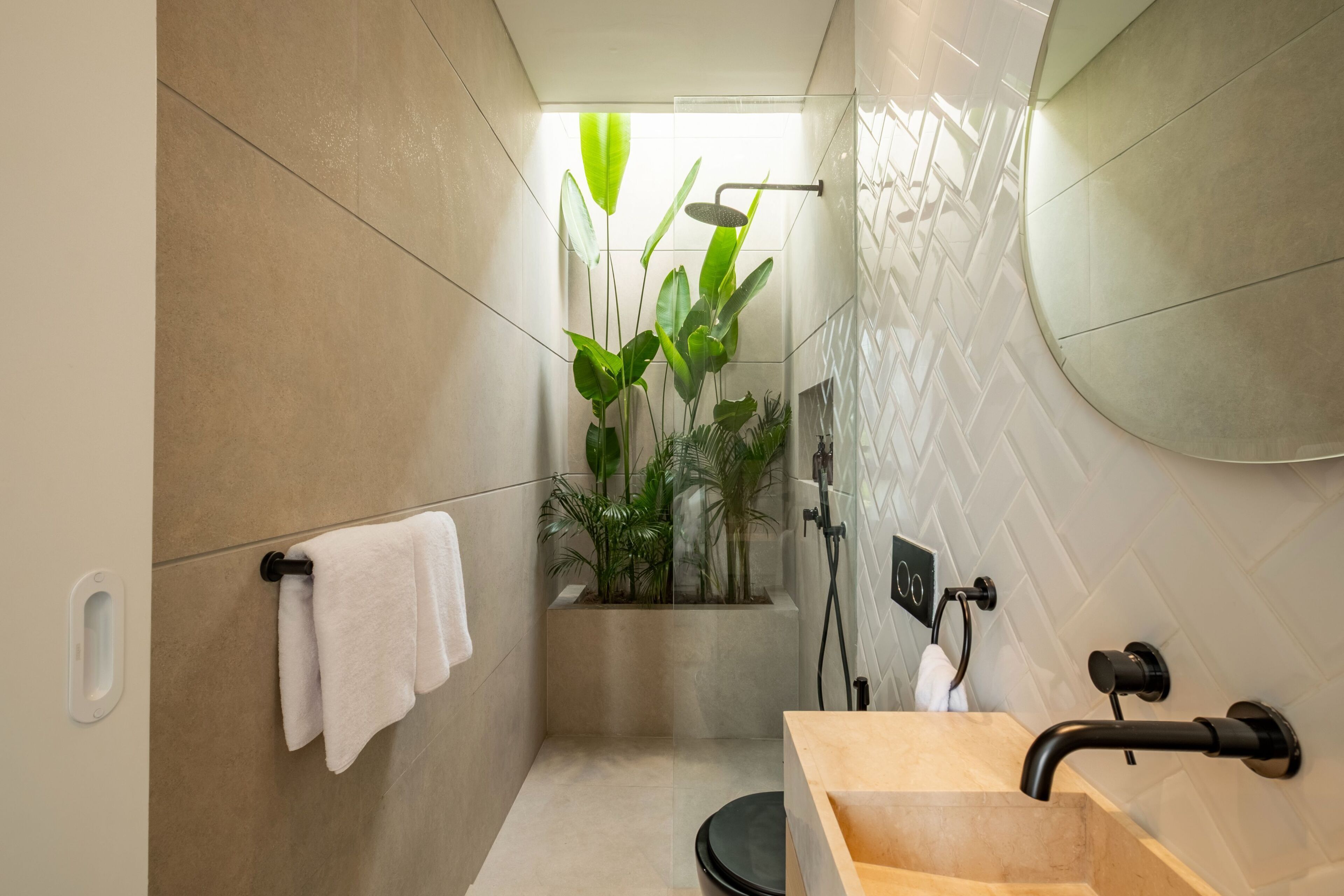 A modern bathroom with a glass-enclosed shower, a wooden vanity, and a potted plant.