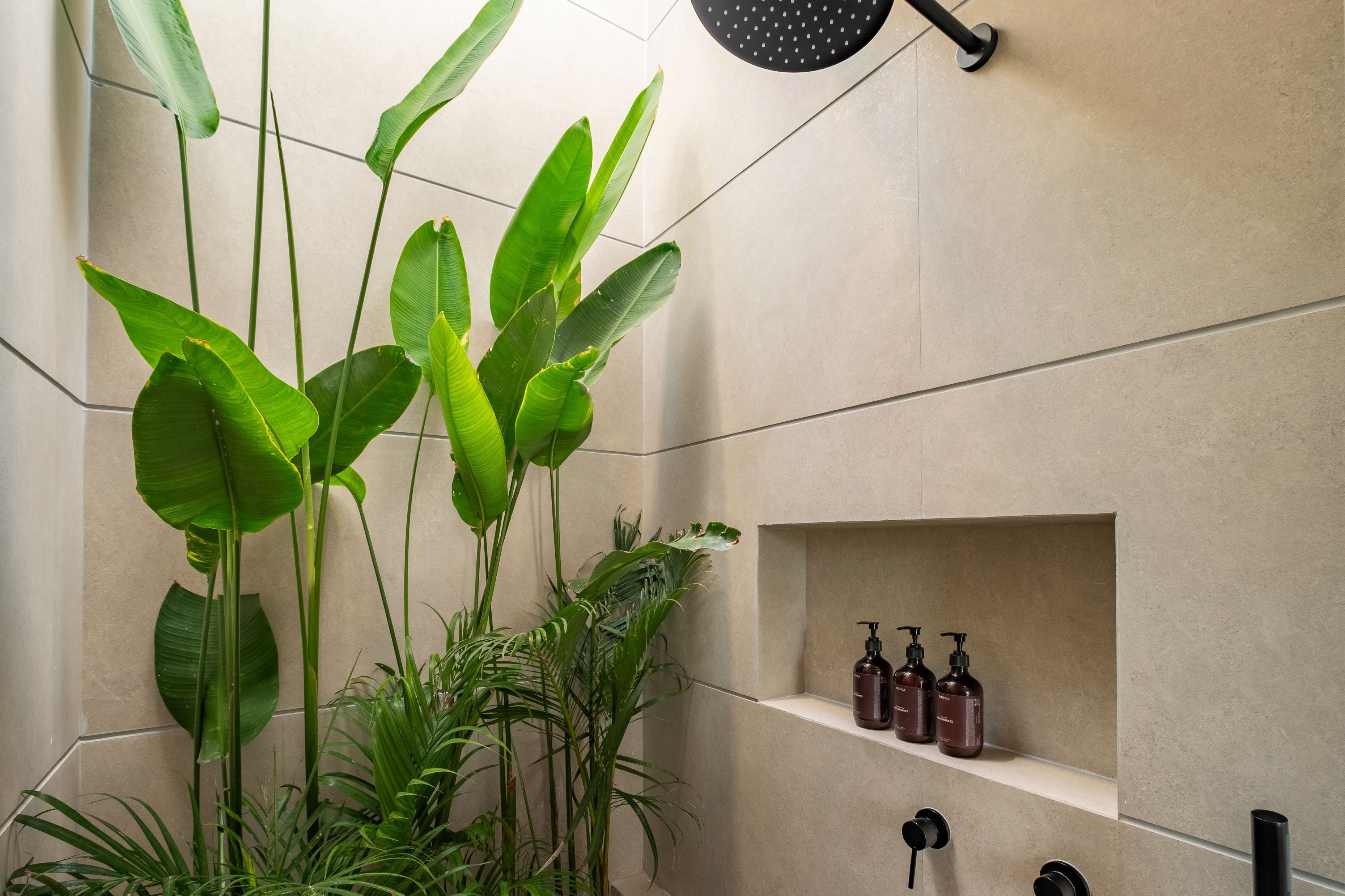 A bathroom with a shower, a shelf with toiletries, and large green plants.