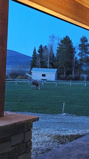 Property grounds