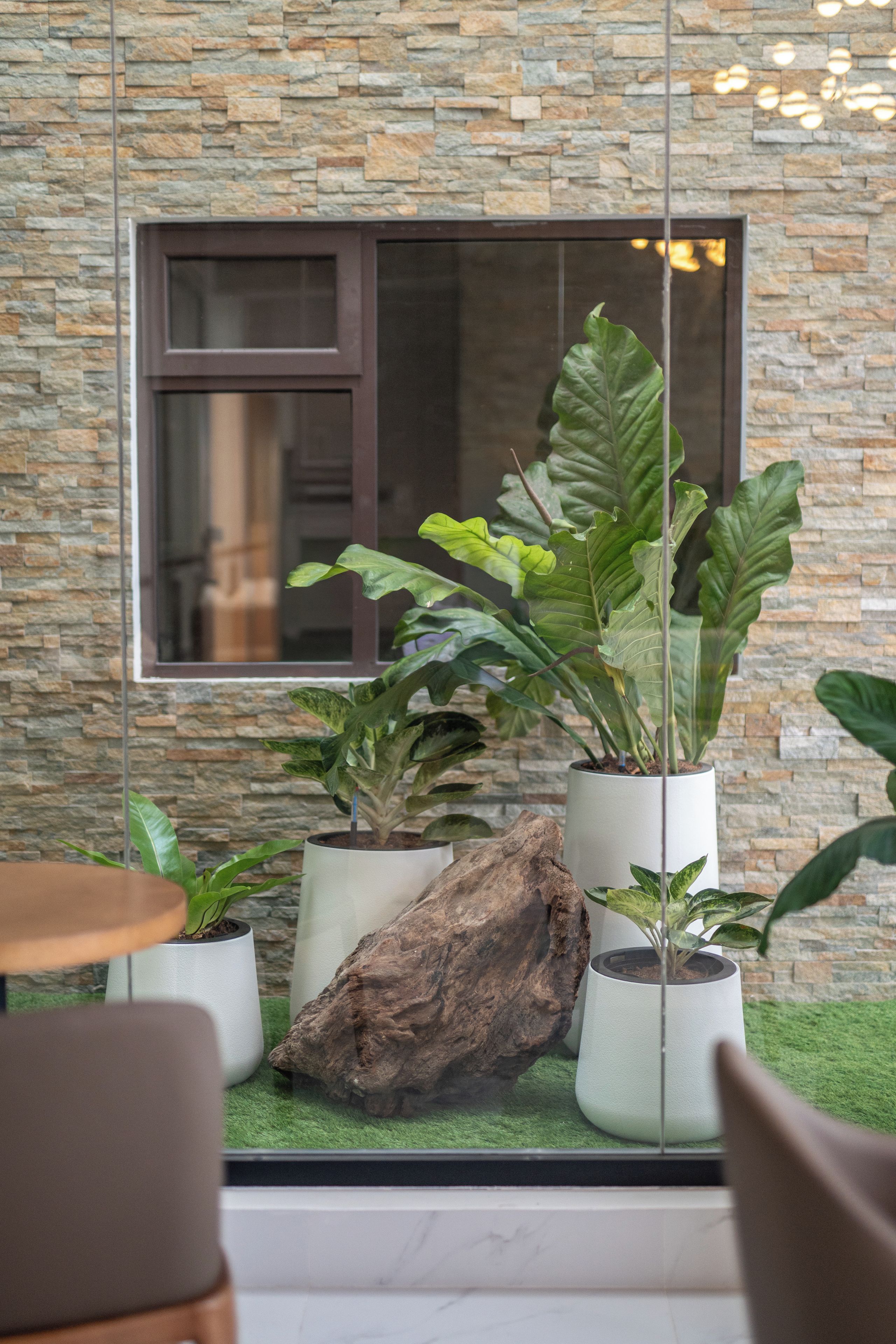A modern interior with a stone wall, a window, and potted plants.