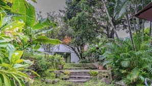 A garden with stone steps leading to a building entrance, surrounded by lush greenery and various plants. - Casa Lúmina - Hotel Boutique y Spa (San Salvador)