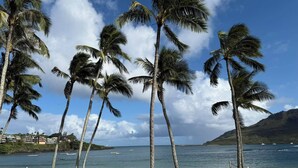 A beach with palm trees, a clear sky, and a view of the ocean. - BRAND NEW REMODELED 2/2 Family Getaway! Walk to Amazing Beach, AC & WiFi (Lihue)