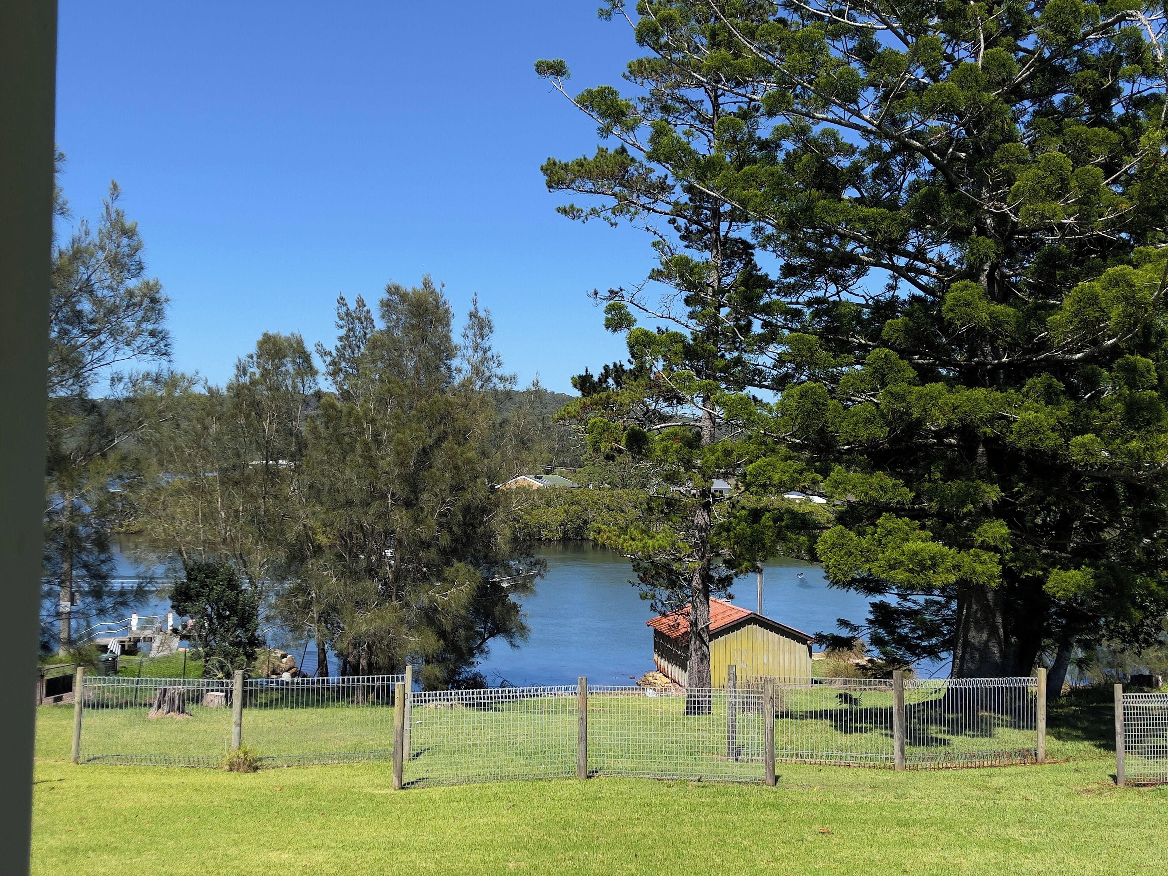 A fenced grassy area with a view of a lake and trees.