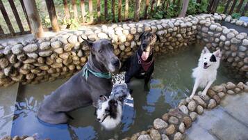 Aceita animais de estimação