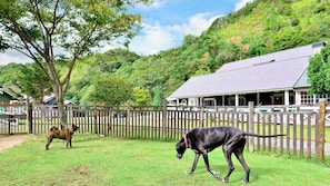Overnattingsstedets uteområder