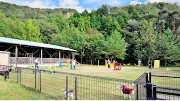 Área infantil