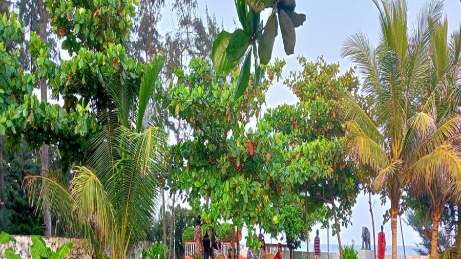 Joe Beach Resort
