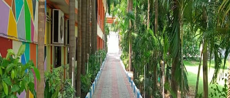 Un sendero bordeado por palmeras y una fachada de edificio colorida.