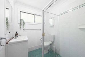 Hair dryer, towels, soap, toilet paper