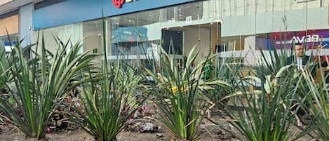 Exterior detail
