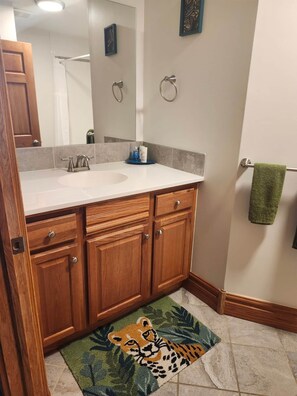 Shower, hair dryer, towels