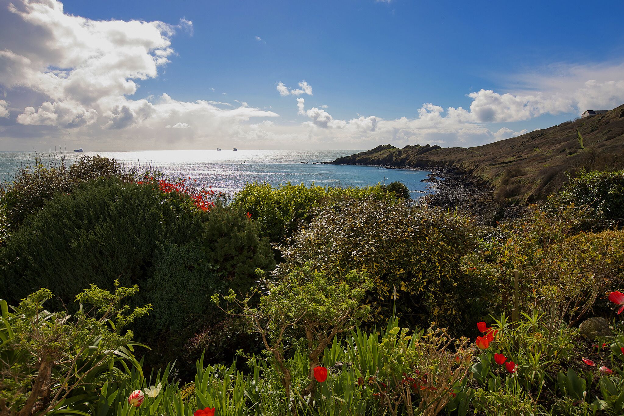 Un paisaje costero con vegetación exuberante y una vista despejada del mar.
