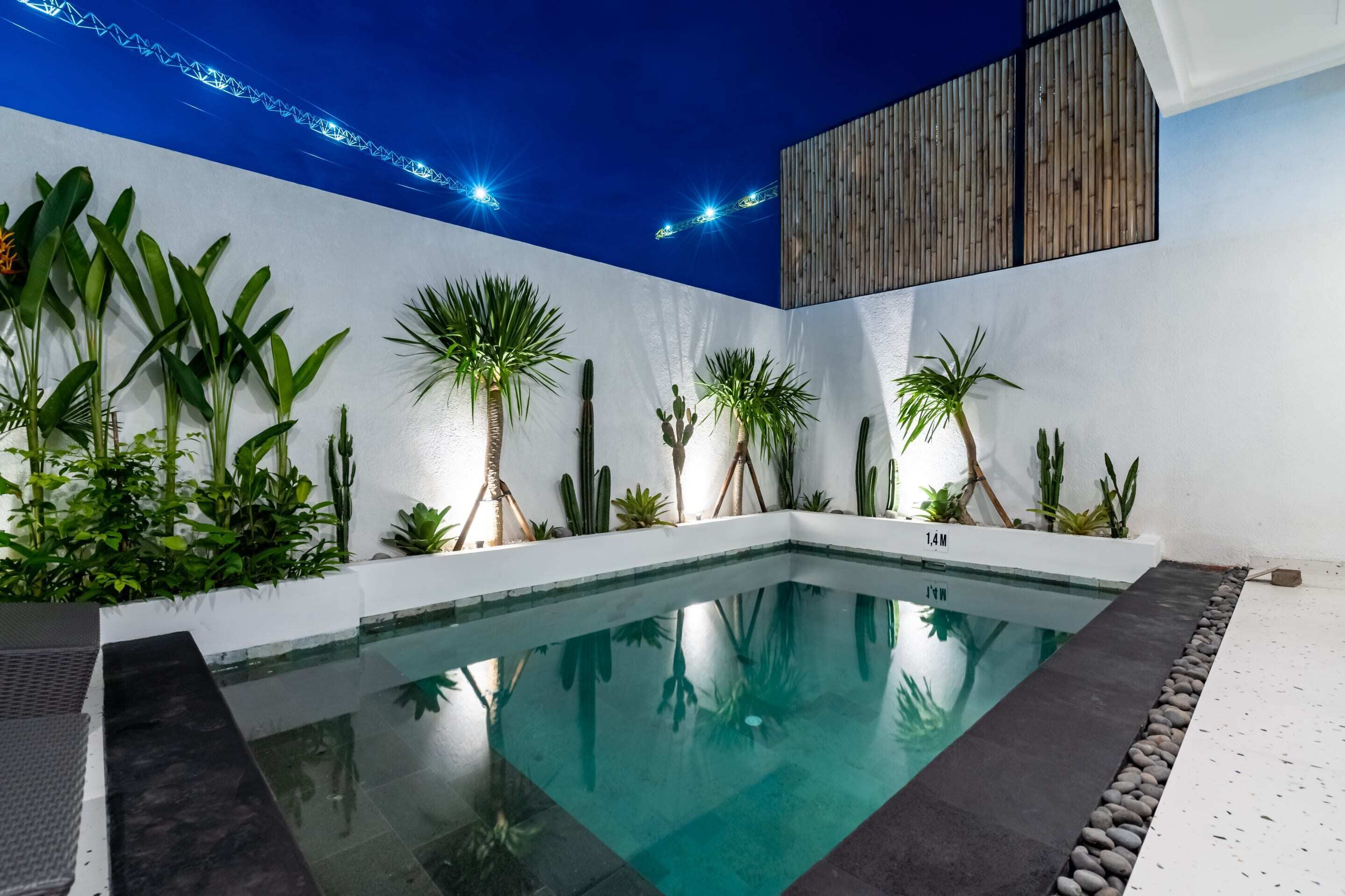 Basic Villa | Pool