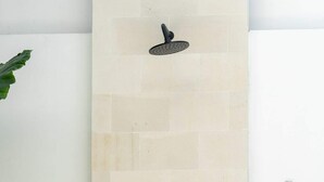Pared de piedra vertical con ducha integrada, un estante pequeño con una planta y un panel de control fijado a la pared.