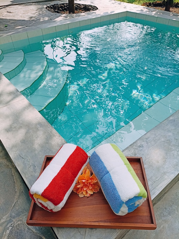 Villa classique, 1 chambre, piscine privée | Piscine privée