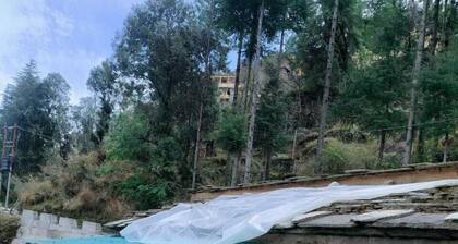 Nanda Devi Home Stay