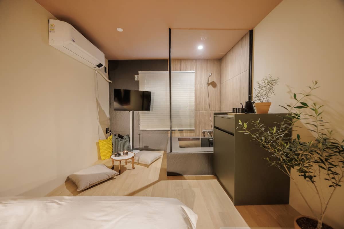 Habitación de hotel pequeña con cama, una mesita, televisión, zona de ducha y una planta en maceta.