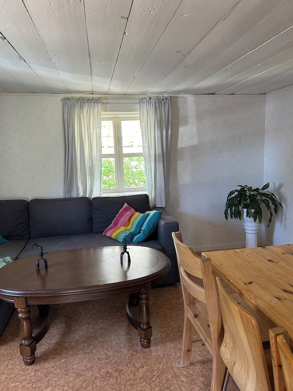 Televisión 