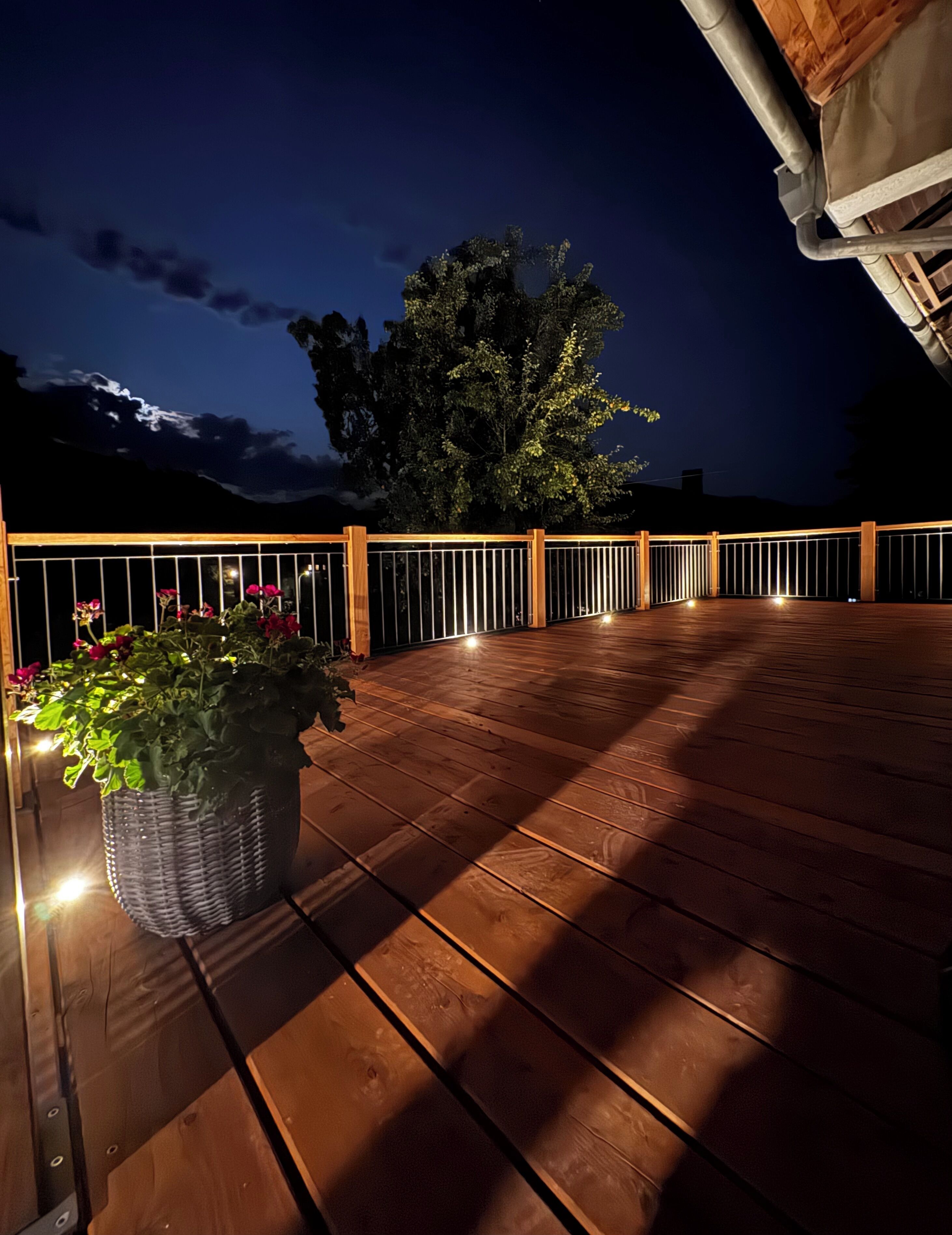 テラス / パティオ