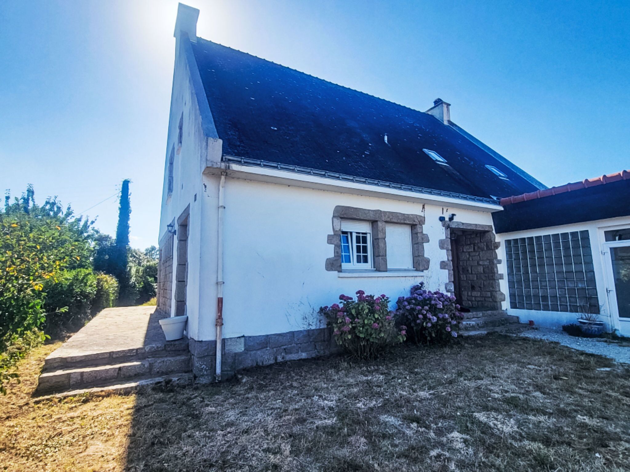 Eksteriør