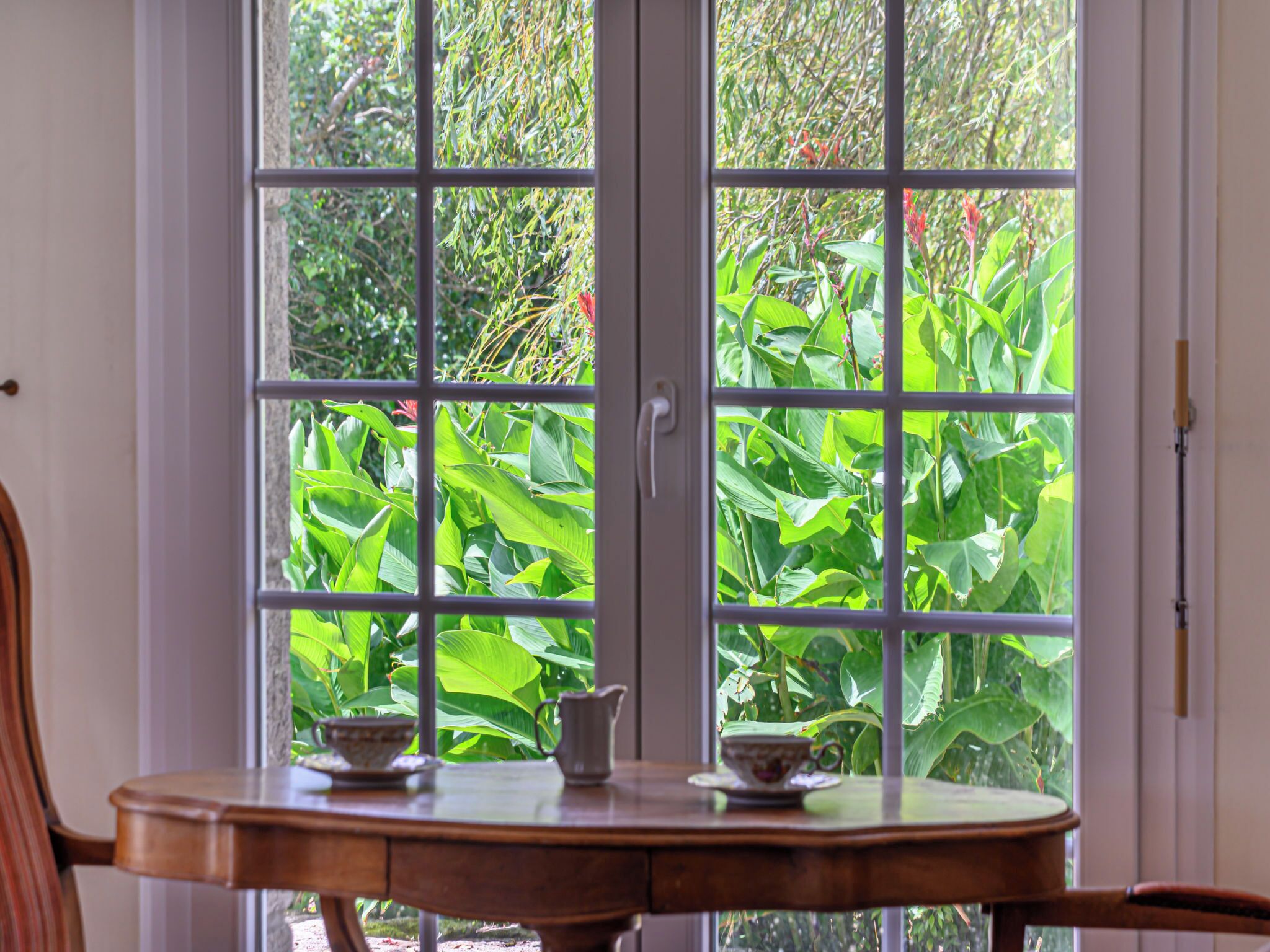 Una mesa de madera con dos tazas y una jarrón, frente a una ventana que ofrece vistas de un follaje verde exuberante.