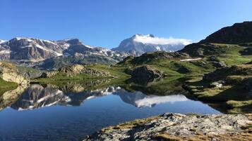 Apartemen | Lain-lain