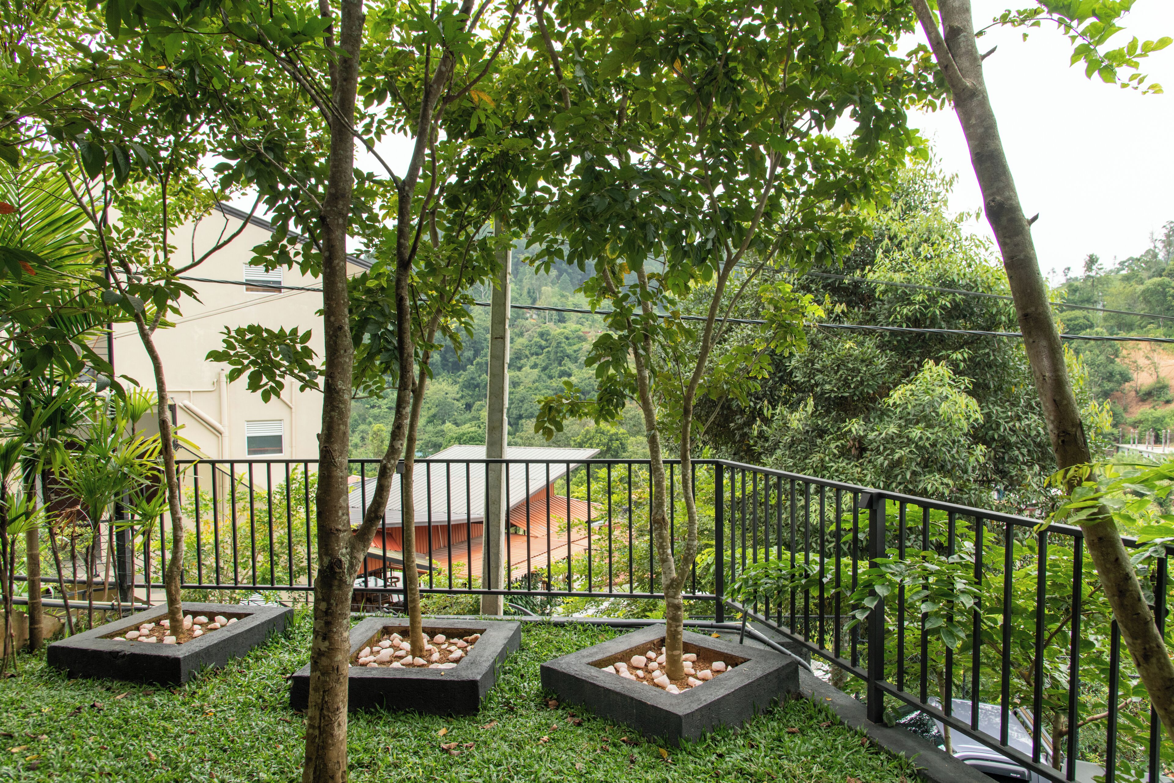 Un jardín con árboles en macetas, una valla metálica y un edificio al fondo.
