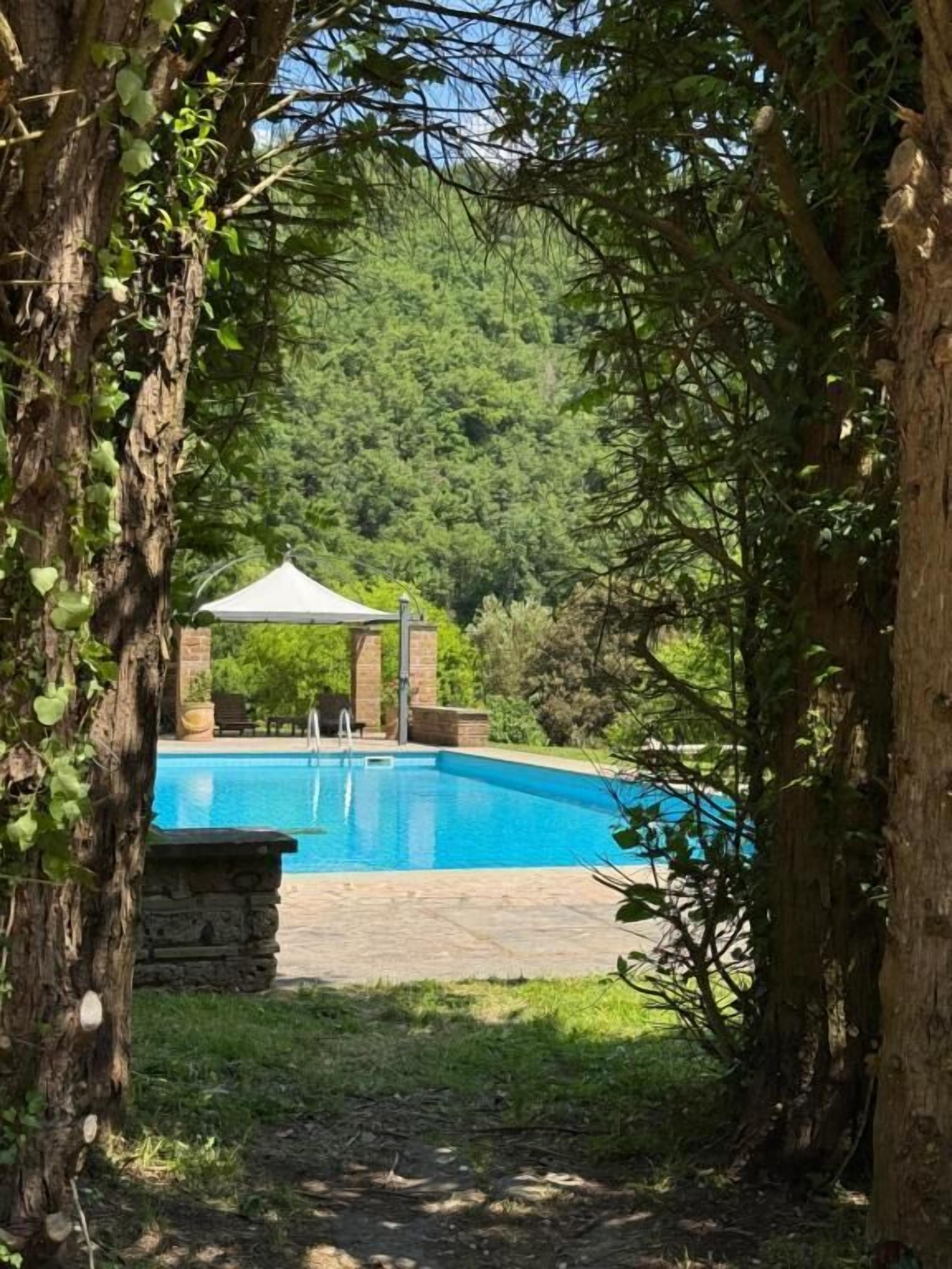 Una piscina con un pabellón, rodeada de árboles y follaje.