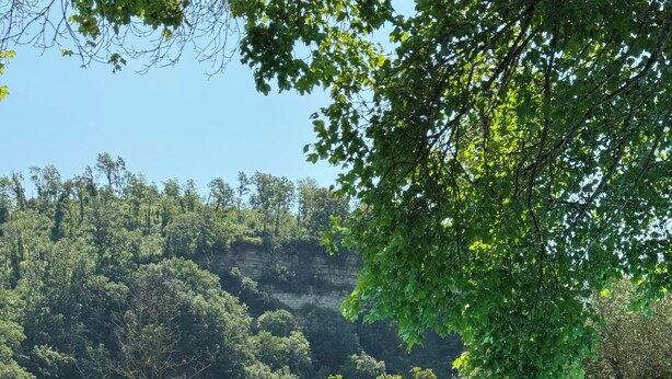 A swimming pool with a view of a forested hillside. - Borgo La Ferriera (Celleno)