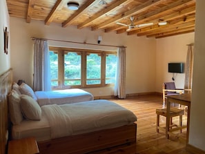 Standard Double or Twin Room, Mountain View