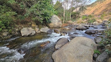 Vista da propriedade