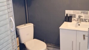 Un baño con inodoro, lavabo y armarios. Hay una planta colgante en la pared.